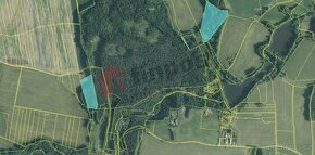 Prodej 3 lesních pozemků u Stráže nad Nežárkou - 1