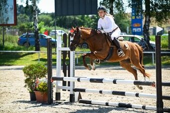 Líbivá charakterní pony klisna