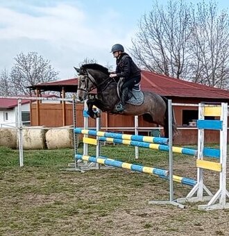 valášek pony B pro náročné