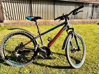 Leader Fox chlapecké kolo 24"
