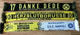 Saly Borussia Dormund - 1