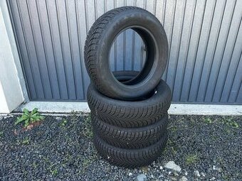 Zimní pneu Nexen WinGuard Snow'G WH2 175/65 R14 82 T