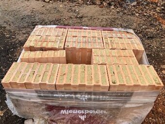 POROTHERM 44T PROFI DRYFIX P8