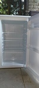 Gorenje R391PW4 - lednice s nízkou spotřebou