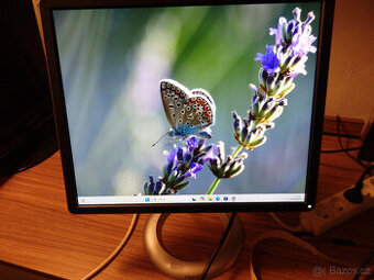 19" monitor DELL P1914FS 1280x1024 pivot