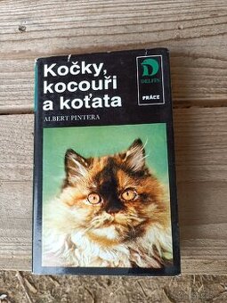 Kočky, kocouři a koťata