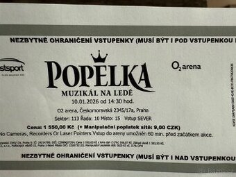 POPELKA muzikál na ledě 10.1.2026