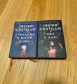 Knihy Ztracena v bílém šumu a hra o duši