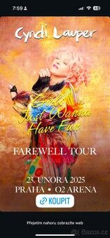 Obrázek k inzerátu: Cyndi Lauper 4 listky