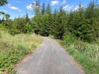 Lesní pozemek Kladruby u Vlašimi