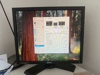 Monitor 19" Dell Professional P190S