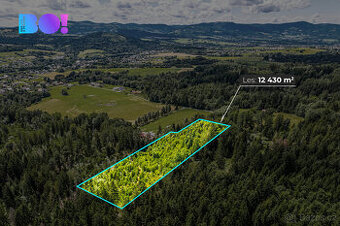 Prodej lesa, 12430 m², Písek