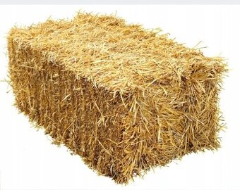 Koupím malé balíky slámy