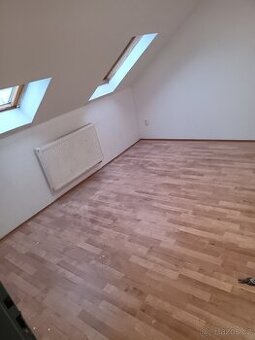 Pronajmu 3kk byt s vlastní zahrádkou v Aši