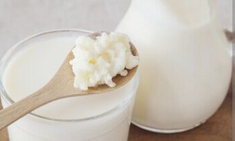 Tibetská houba na kefír