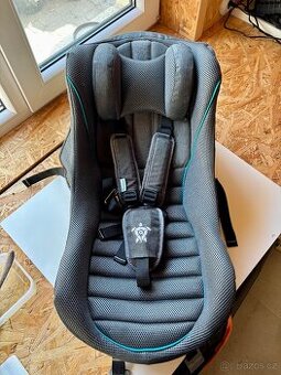 Miminkovník Qeridoo