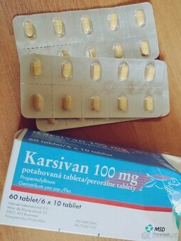 Karsivan