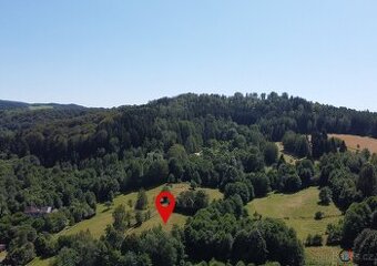 Prodej pozemku 2 839 m2 - Olešnice v Orlických horách