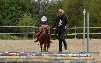 Minihorse