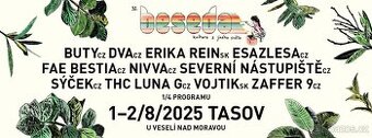 Vstupenka na festival Beseda u bigbítu