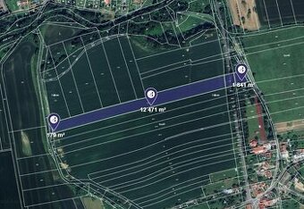 Prodej podílu 1/5 pole 2 898 m², Provodovice