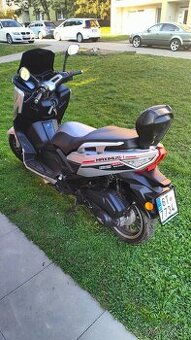 Kentoya maximus 125
