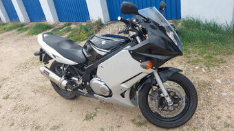 Suzuki GS500F