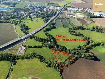 Prodej lesa a pole v obci Palhanec, Opava - Vávrovice - 1