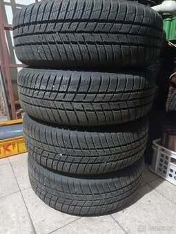 Zimni sada Citroën C4
