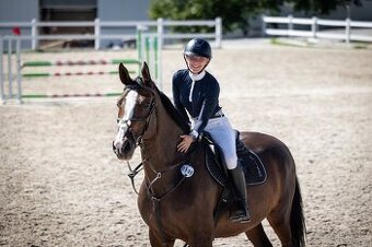 Klisna slovenského teplokrevníka