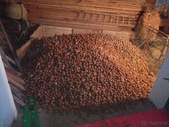 Prodám konzumní brambory Adély