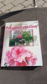 Pokojové rostliny