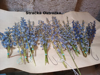 Sušené květiny - Stračka ostrožka.