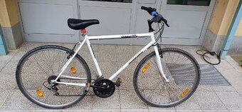 Panske kolo 19"