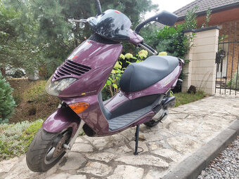 APRILIA LEONARDO -PLASTY
