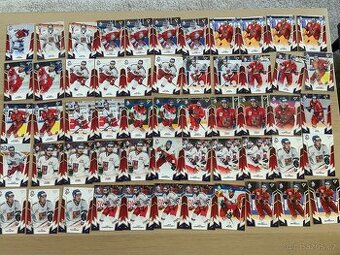 Hokejové Česko 2024 SportZoo 2024