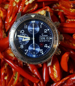 SINN 203 Arktida - originál - nová revize