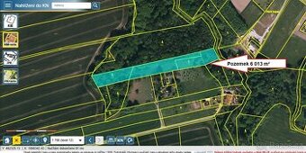 Prodej louky s kouskem lesa, 6013 m²