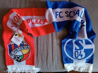 Šála Plzeň - Schalke