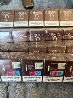 Camel - 1