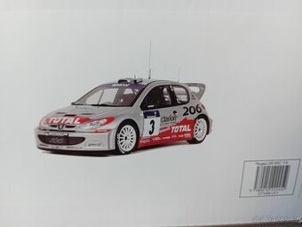 Alpine, Nissan, Citroën, Ford, Audi a Mazda 1:18 Ottomobile