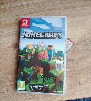 Minecraft - Nintendo switch