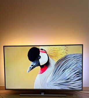 Televize Philips 58 ambilight 3 TV