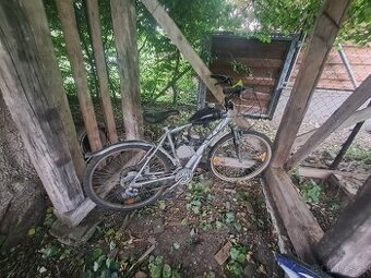 Motokolo 50ccm - 1