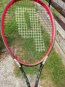 Prince Beast 300 g- grif 2 - 1