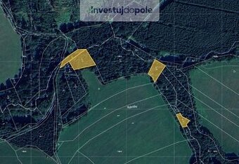 Prodej lesa 2 834 m², Prosíčka - Dolní Prosíčka - 1