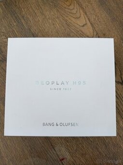 Bang & Olufsen - Beoplay H95 Nordic Ice