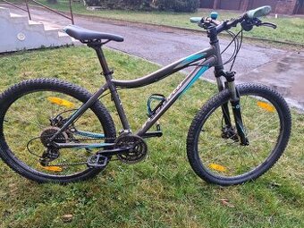 Kolo Specialized Myka 26