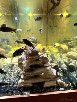 Kompletně vybavené akvárko včetně rybiček