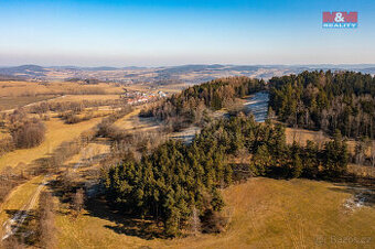 Prodej lesa, 42761 m², Nišovice - 1